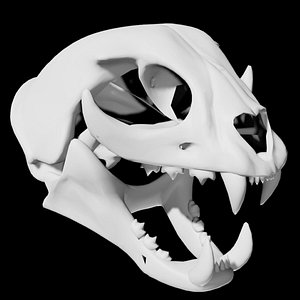 Cat Skull 3D model