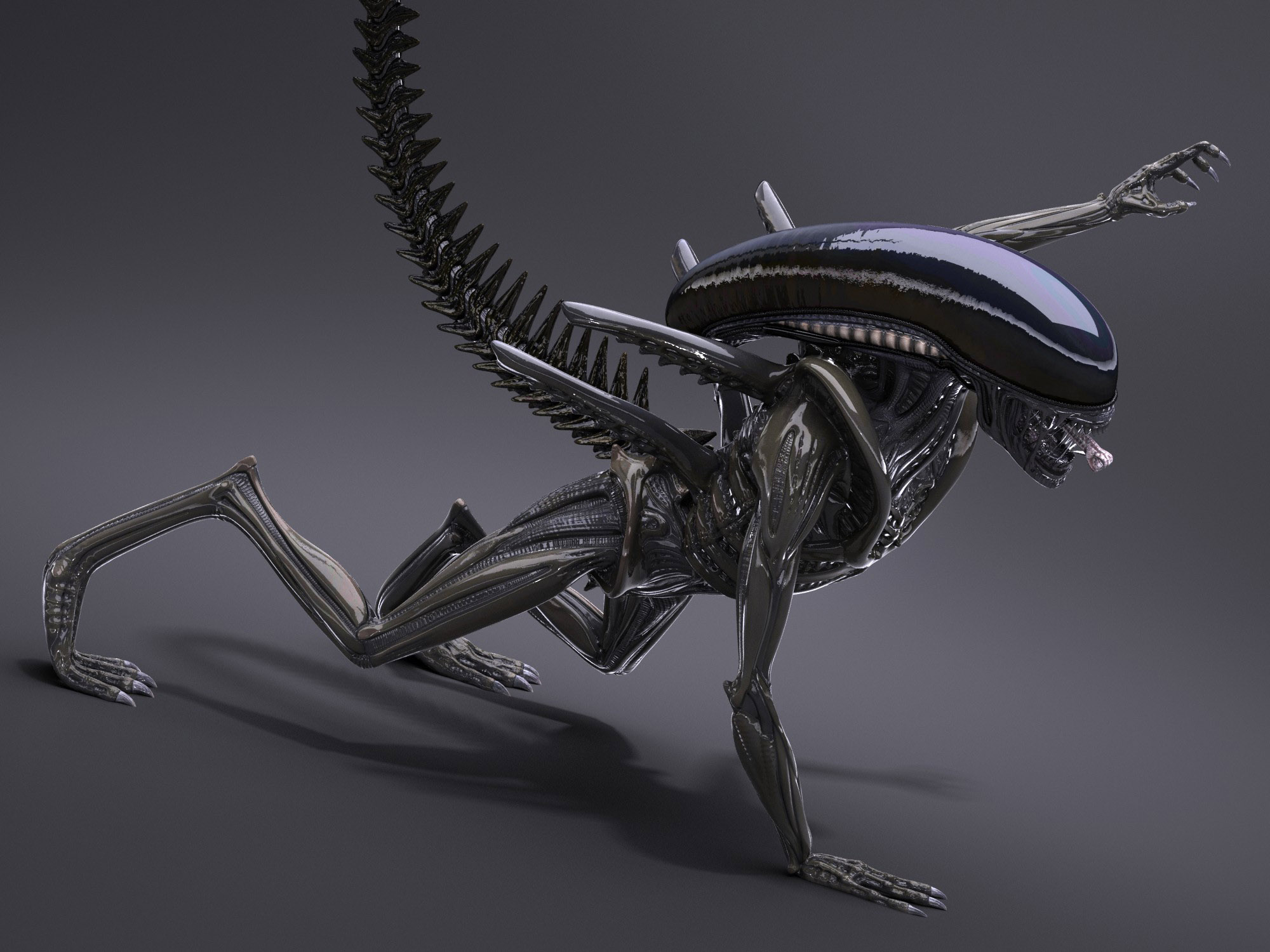 Alien Xenomorph 3d Model - Turbosquid 1216136