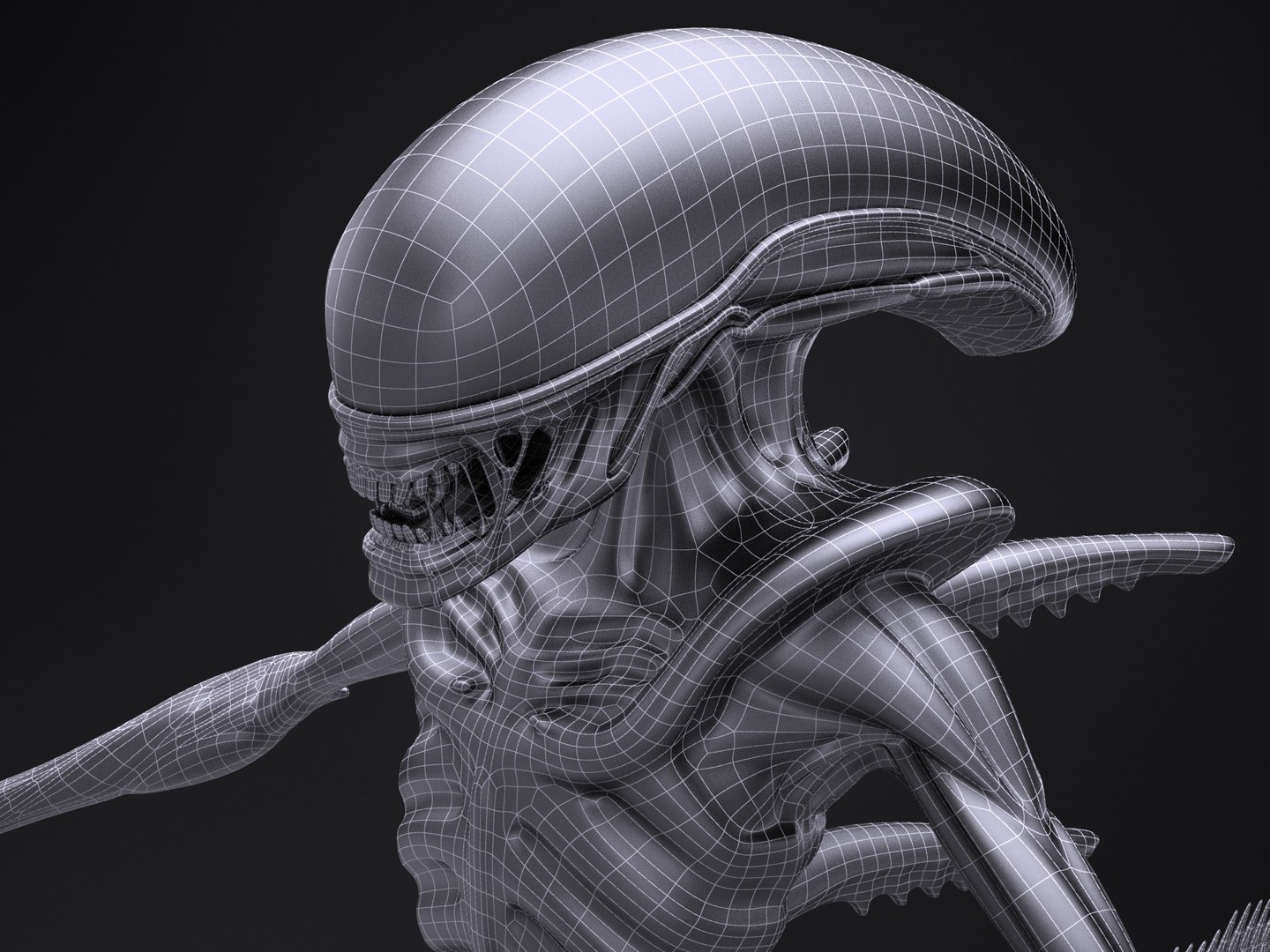 Alien Xenomorph 3D Model - TurboSquid 1216136