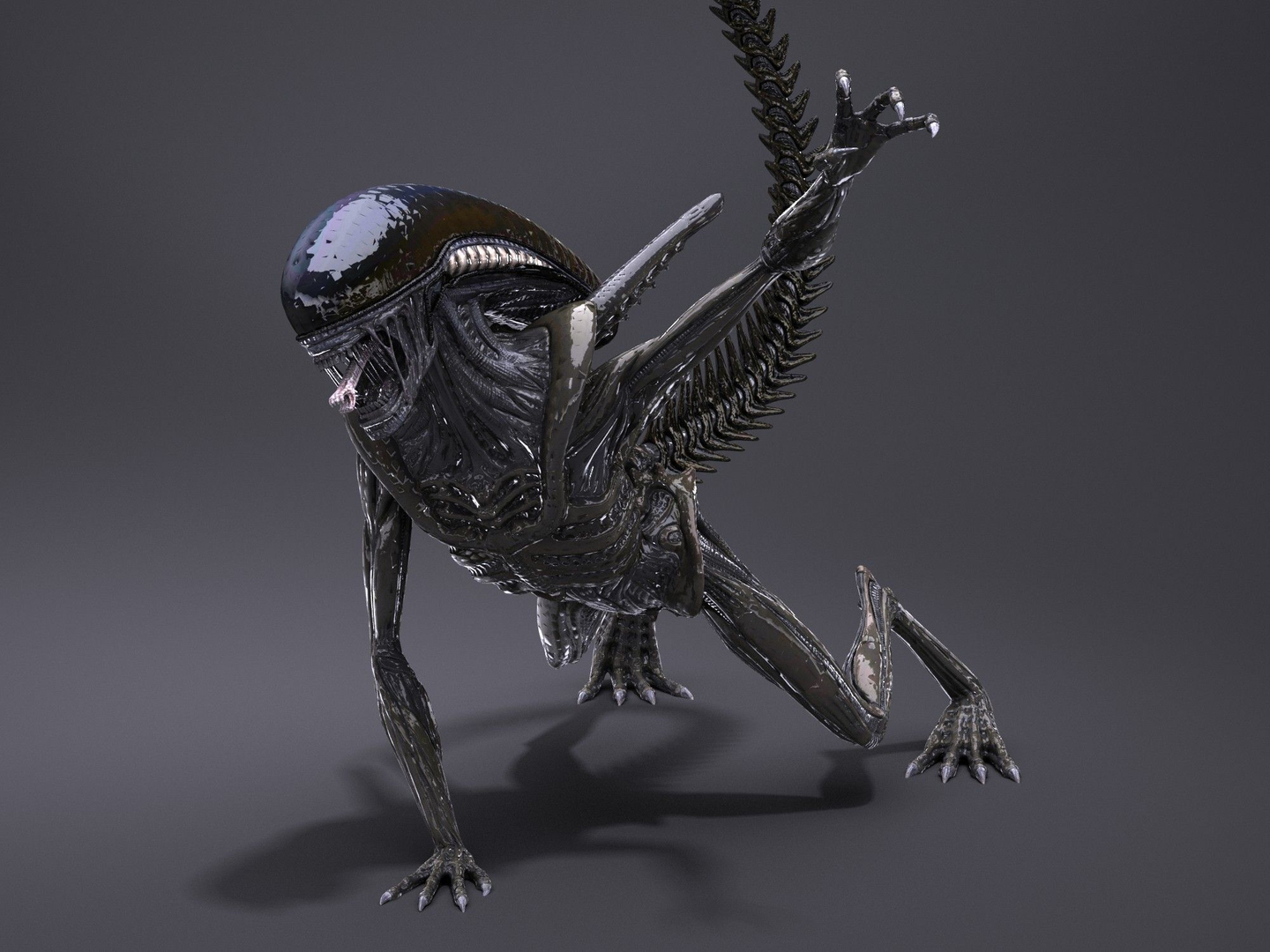 Alien Xenomorph 3D Model - TurboSquid 1216136