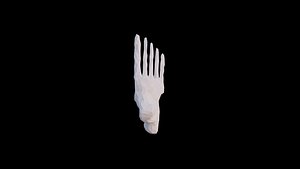 Origami human feet unfolding growing animation
