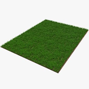 Warm Season Grass 3D