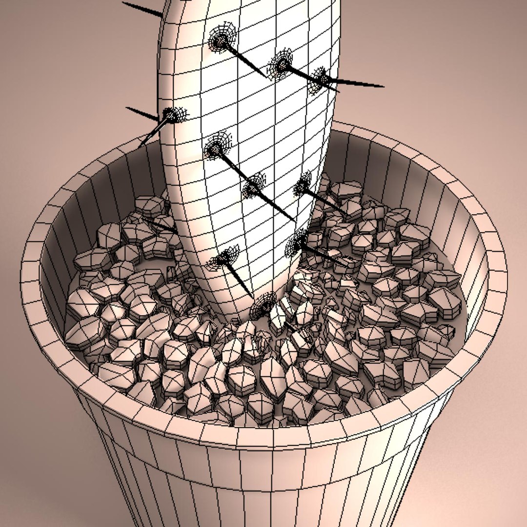 3d cactus pot model https://p.turbosquid.com/ts-thumb/Gt/pHvdOY/CvE1r5j1/z5/jpg/1364002804/1920x1080/fit_q87/02f0ba6d36d2234b27514e8d6cc5e1229a2467c1/z5.jpg