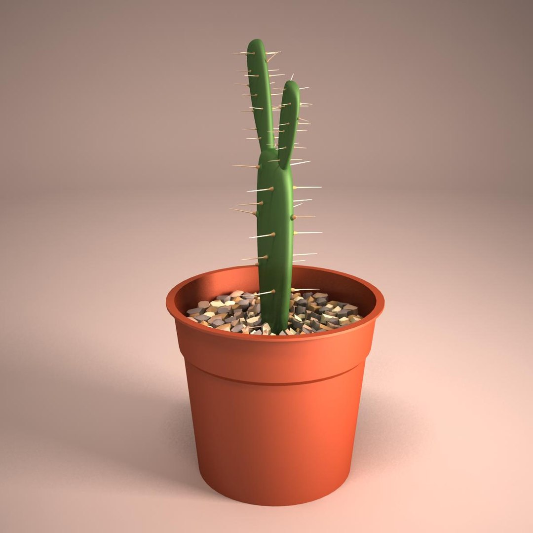 3d cactus pot model https://p.turbosquid.com/ts-thumb/Gt/pHvdOY/bZRyXOPJ/07/jpg/1364002804/1920x1080/fit_q87/bbb7a38ed2764571507a5bb8ad3d07413ebf94f8/07.jpg