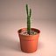 Cactus Pot 01