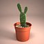 Cactus Pot 01