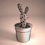 Cactus Pot 01
