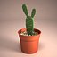 Cactus Pot 01