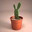 Cactus Pot 01