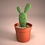 Cactus Pot 01