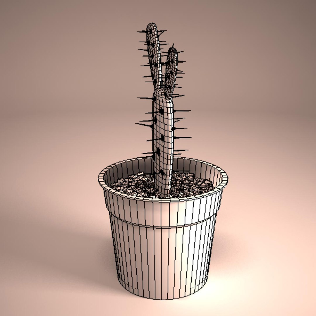 3d cactus pot model https://p.turbosquid.com/ts-thumb/Gt/pHvdOY/x4ALc1eD/z1/jpg/1364002804/1920x1080/fit_q87/4385d01f3992a8ab141722c6fbf8055198753730/z1.jpg