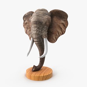 Elephant Head 3D