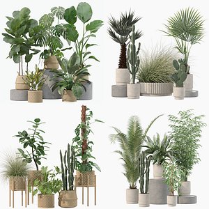 20 Photorealistic Flowers for Interiors - set 203 205 209 216 3D model