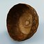 Acorn