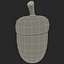 Acorn