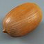Acorn