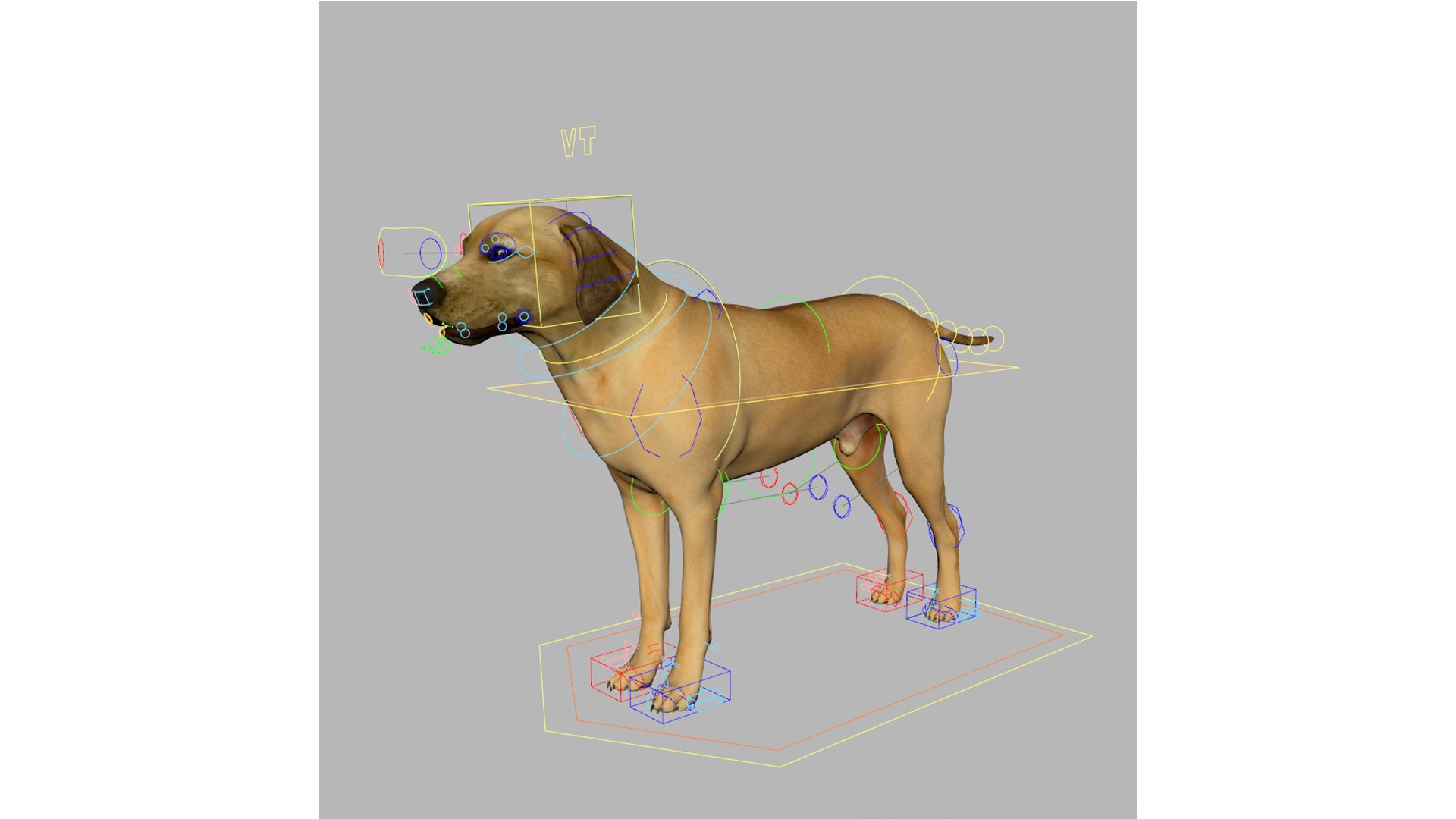 rhodesian ridgeback 3D https://p.turbosquid.com/ts-thumb/Gu/CoQSDO/hT/5/jpg/1634563807/1920x1080/fit_q87/62ee43291dbf5eefd1cb89ec98f07dfe023614ae/5.jpg