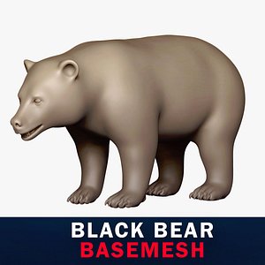 Black Bear Base Mesh 3D model