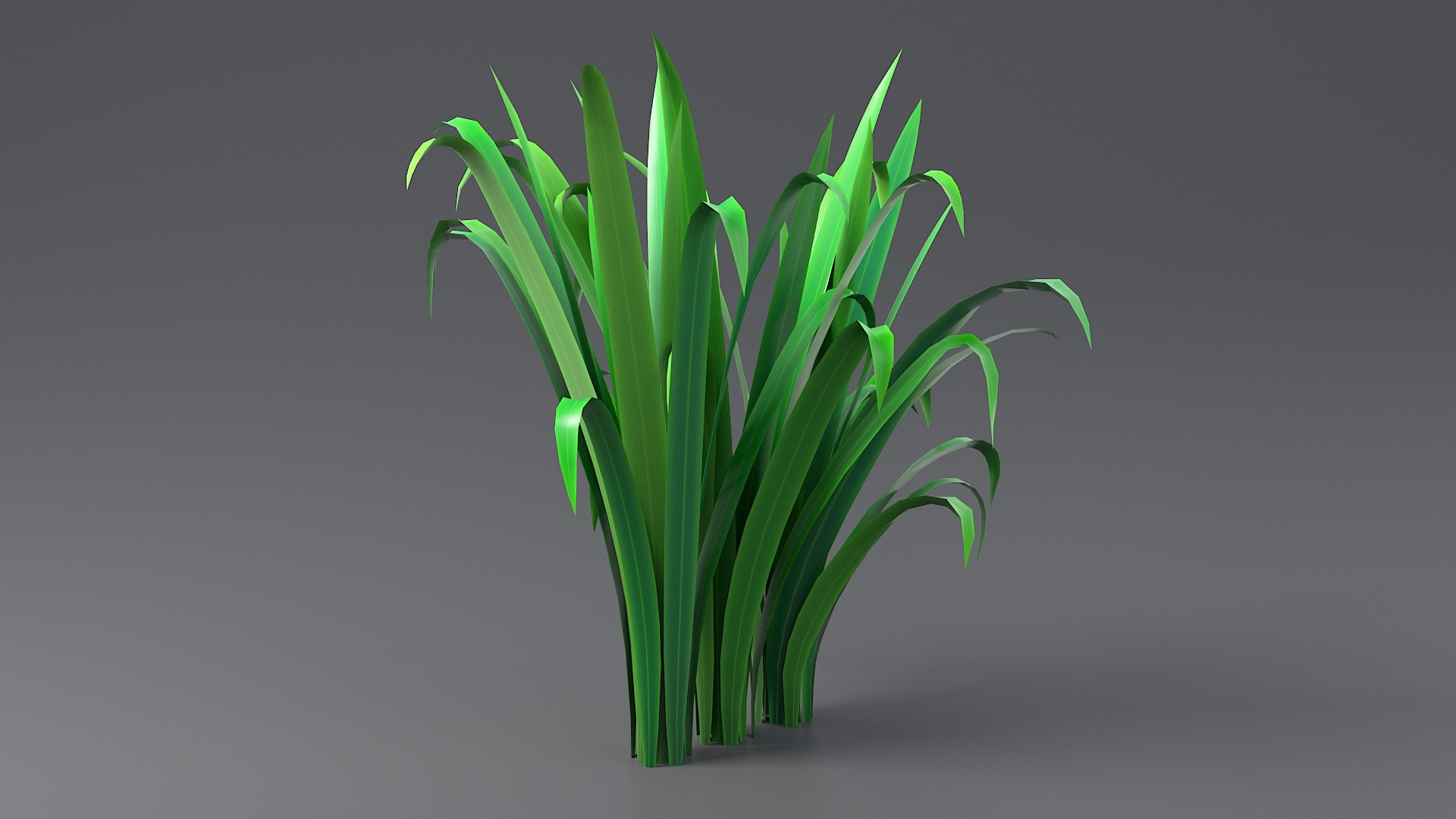 3D model Cartoon Long Grass 10 https://p.turbosquid.com/ts-thumb/Gu/mXp90d/5J/grass_long_0048/jpg/1679647068/1920x1080/fit_q87/e5d96571748c025201705baa7accb4a40aa83a07/grass_long_0048.jpg