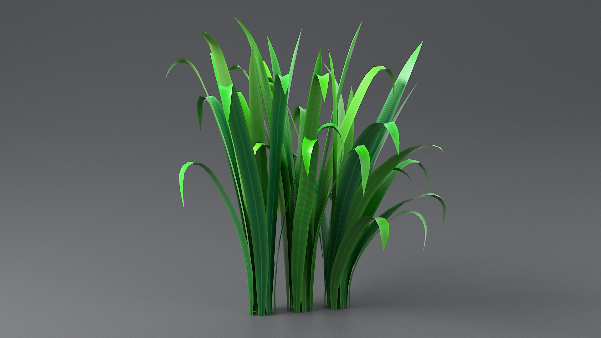 3D model Cartoon Long Grass 10 https://p.turbosquid.com/ts-thumb/Gu/mXp90d/Qz/grasslongtbaten/jpg/1679647099/1920x1080/turn_fit_q99/1f859ce14366965f4db39692ff56022ca5dc42ee/grasslongtbaten-1.jpg