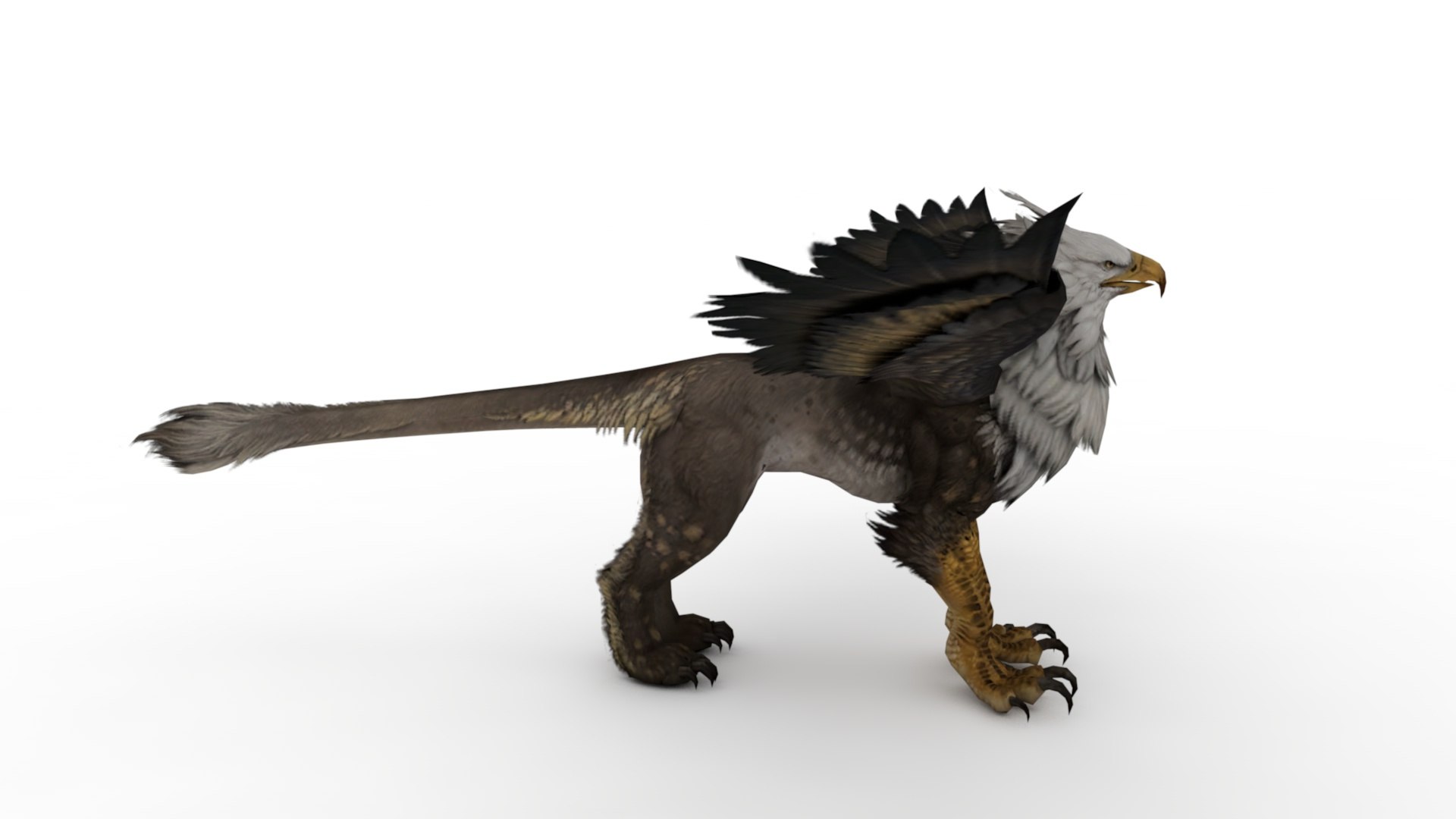 3D Gryphon https://p.turbosquid.com/ts-thumb/Gu/omUSPB/Fa/dfs0001/jpg/1681125567/1920x1080/fit_q87/14ca54bfc60ed8ee8d0f55cae0fe88346d2b6341/dfs0001.jpg