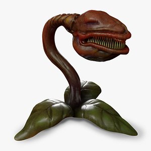 Carnivorous Plant