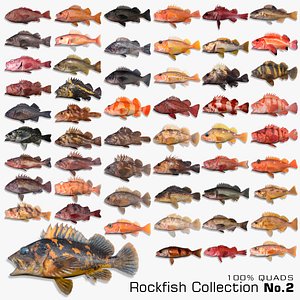 Rockfish Collection 2 model