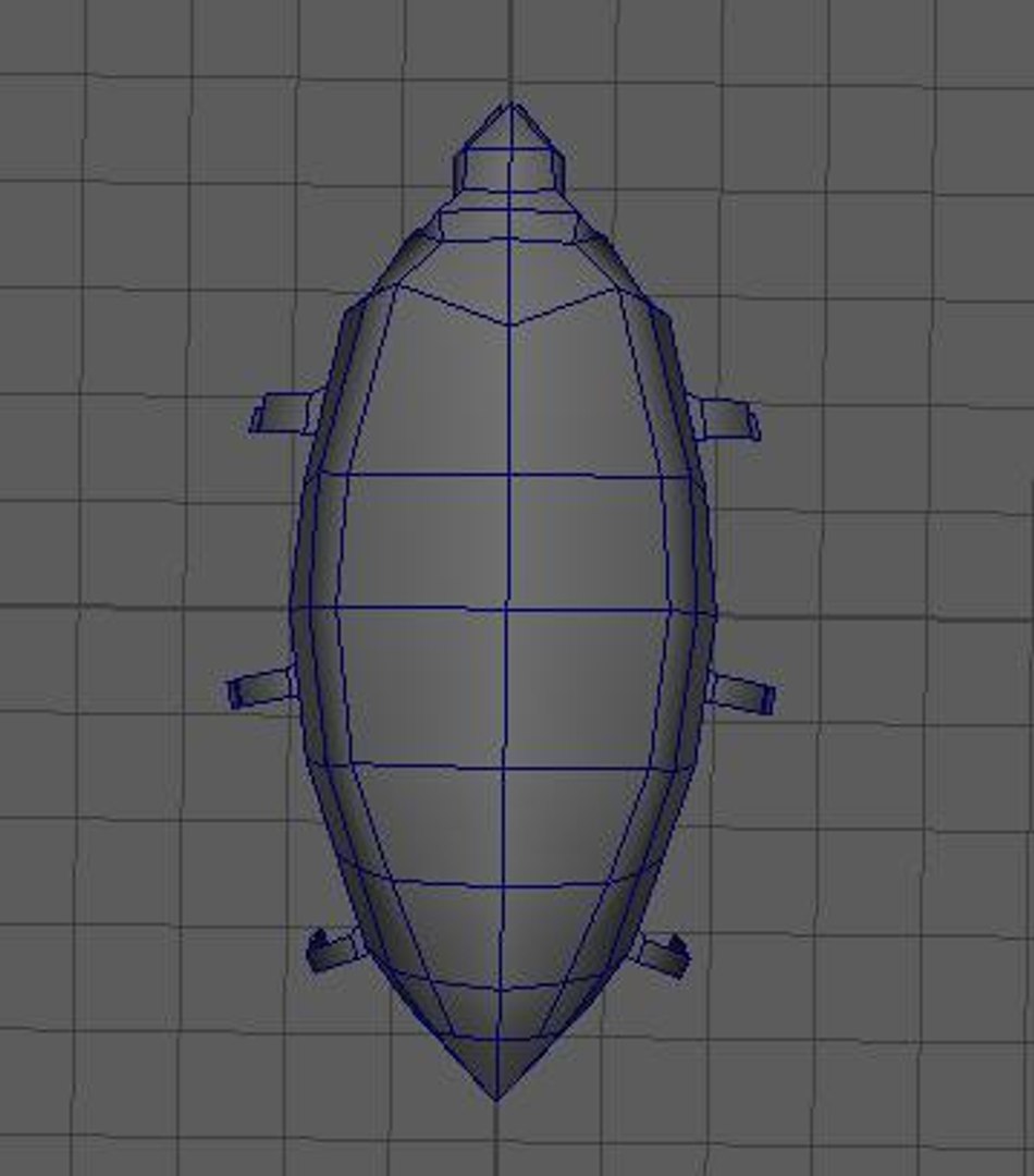 Bug Model - TurboSquid 1316737