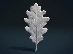 oak leaf 3D model