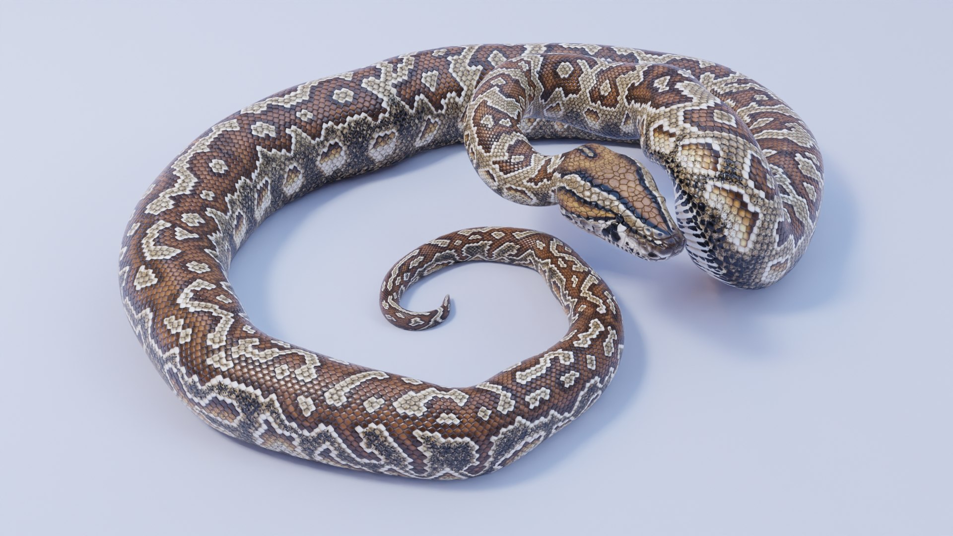 Southern African Rock Python - Animated 3D Model - TurboSquid 1833829