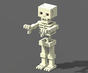 3D voxel skeleton