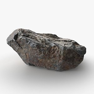 3D River Stone 21 StemCell