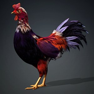Chicken-A6 3D model