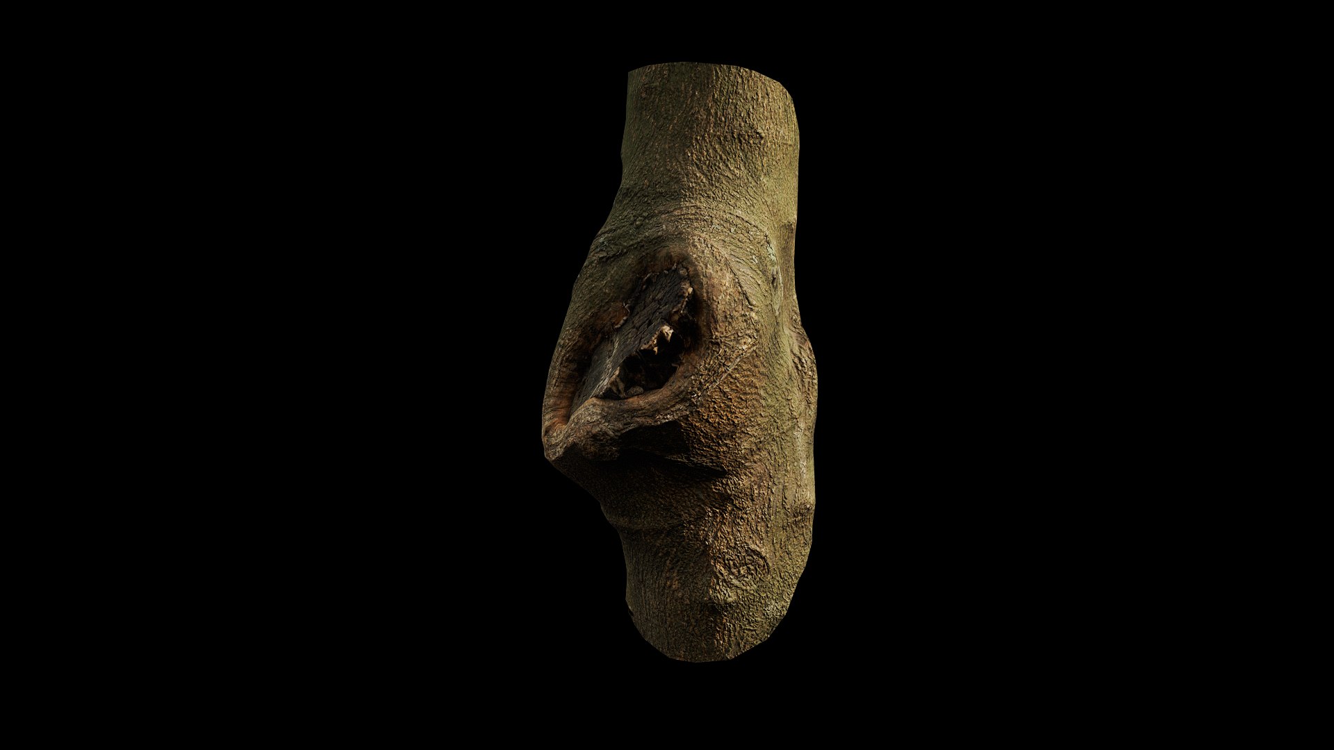3D model Anydrafts Citrus maxima Burl 01 https://p.turbosquid.com/ts-thumb/Gv/eYA8T9/5C/preview_3/png/1733732925/1920x1080/fit_q87/e95663fe9884b98919f2ba00e4979b81a4a46787/preview_3.jpg