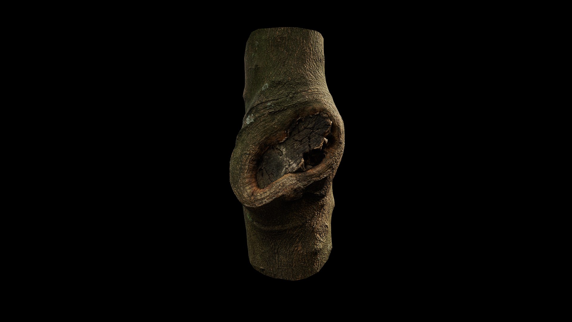 3D model Anydrafts Citrus maxima Burl 01 https://p.turbosquid.com/ts-thumb/Gv/eYA8T9/S2/preview_1/png/1733732923/1920x1080/fit_q87/f6180522a59a0576ba67f9bbaf25fa2b7faa4fcf/preview_1.jpg