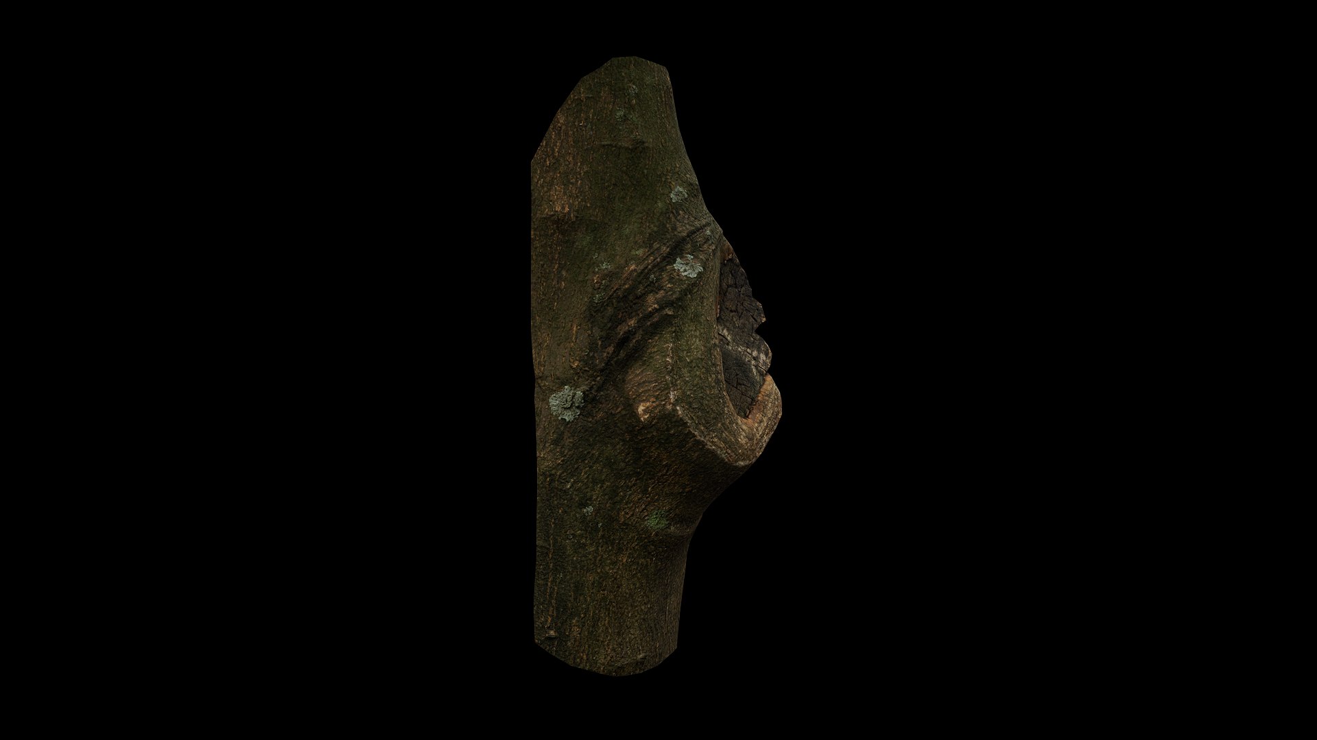 3D model Anydrafts Citrus maxima Burl 01 https://p.turbosquid.com/ts-thumb/Gv/eYA8T9/gg/preview_6/png/1733732926/1920x1080/fit_q87/327c2d7717509aa02e0ecf56354088957d6be26b/preview_6.jpg