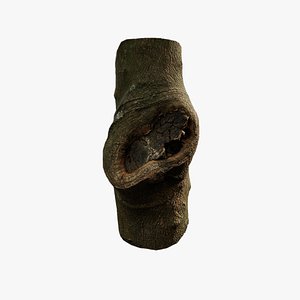3D model Anydrafts Citrus maxima Burl 01