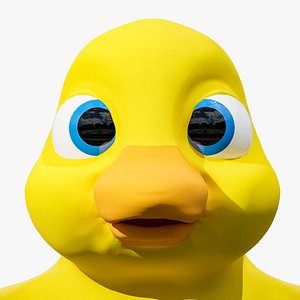 Little Duck Cartoon no rig