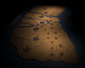 3d fossilized footprints