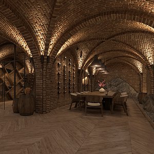 Modern Wine Cellar