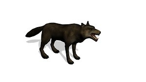 3d wolf animations model