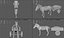 3D DONKEY WITH CART