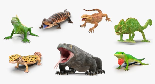 modelo 3d Rigged Lizards Collection 3 - TurboSquid 1984564