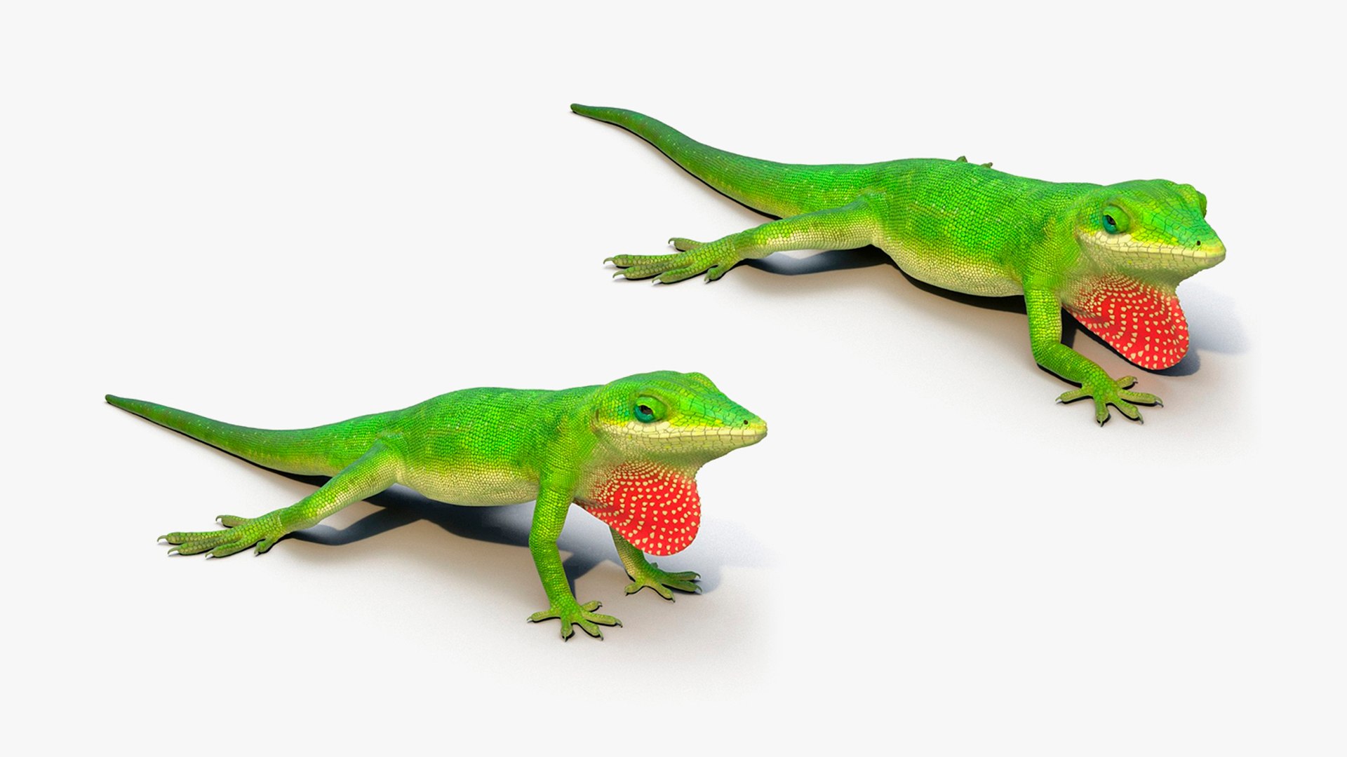 3D Rigged Lizards Collection 3 - TurboSquid 1984564