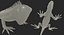 3D Rigged Lizards Collection 3
