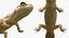3D Rigged Lizards Collection 3