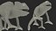 3D Rigged Lizards Collection 3