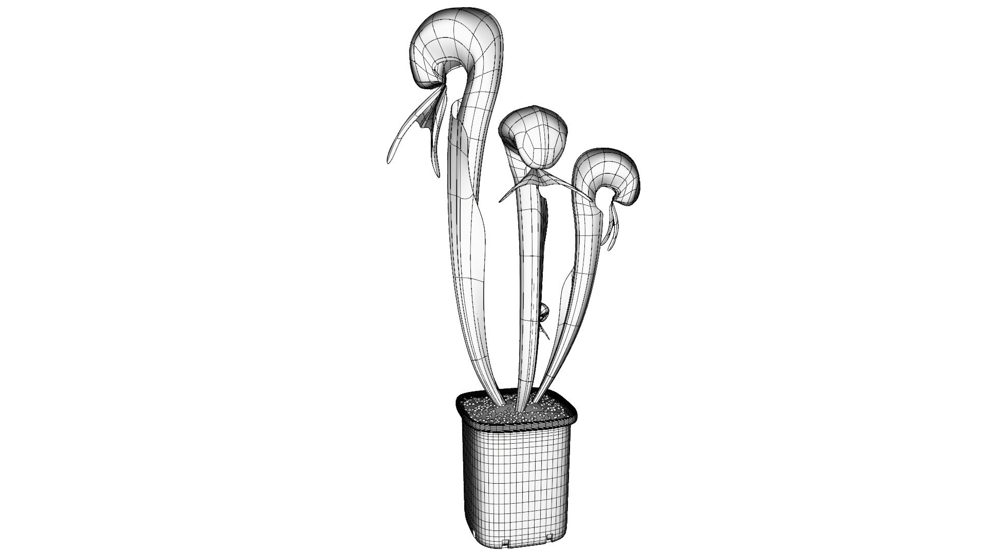 Carnivorous plant and flies. Ink black and... - Stock Illustration  [95105784] - PIXTA