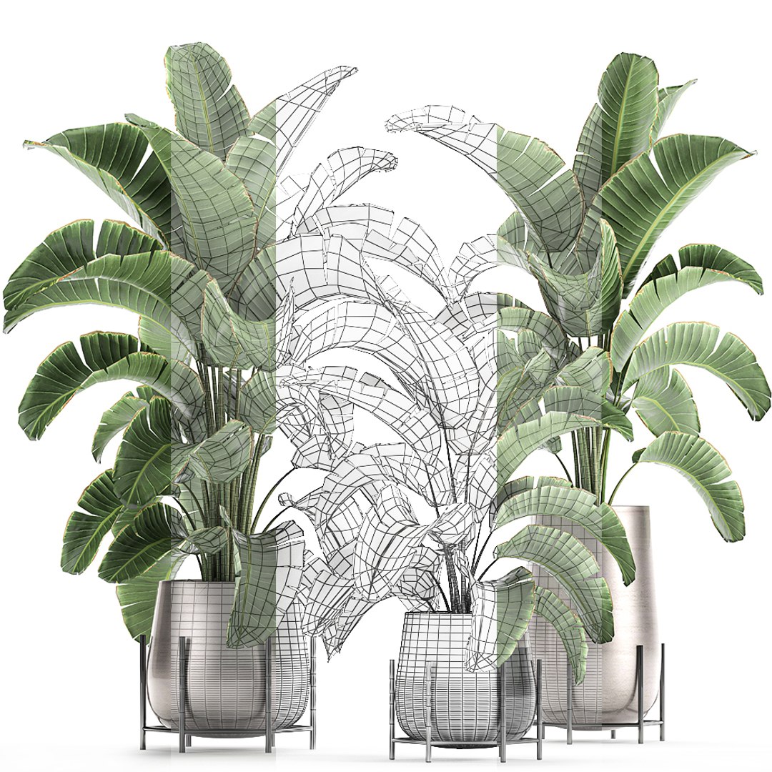 banana palm interior 3D model https://p.turbosquid.com/ts-thumb/Gw/uPkUPH/A7luuyke/plants2611202007/jpg/1606480400/1920x1080/fit_q87/4637f9b4750163827b93041e4a12b430f0281230/plants2611202007.jpg