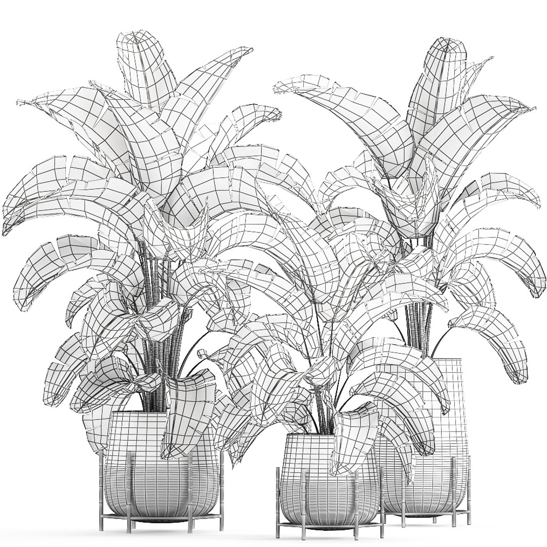 banana palm interior 3D model https://p.turbosquid.com/ts-thumb/Gw/uPkUPH/QQrJphOd/plants2611202009/jpg/1606480400/1920x1080/fit_q87/0a84bb5c2a330cb579881be8d3d9270907b54761/plants2611202009.jpg